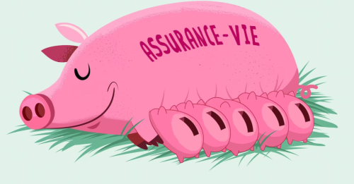 Cabinet de conseils en assurance vie